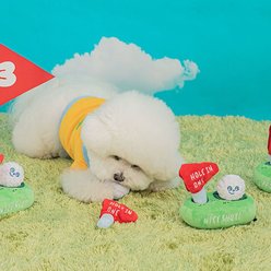 EYS Golf Hole In One Dog Plush Toy, Green slide 2 of 6