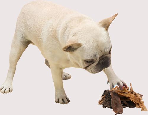 Show full view: EYS Herders Choice Chews Green Tripe Dehydrated Dog Treats, 3.5-oz bag slide 4 of 8