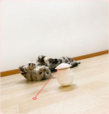 Show full view: EYS Interactive Tumbler Laser Rotation Motion Cat Toy, Beige slide 8 of 11