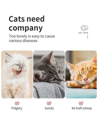 Show full view: EYS PurrSuit Engaging Play & Durable Design Cat Motion Toy slide 9 of 9