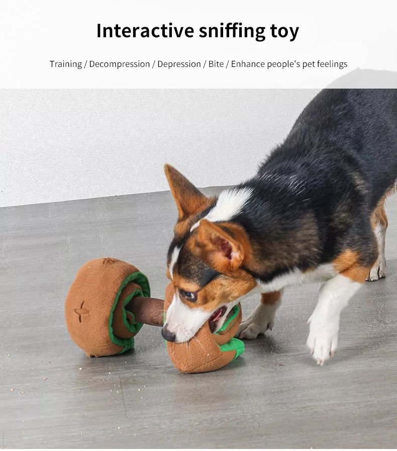 EYS Retractable Treat Dispensing Plush Dumbbell Interactive Dog Toy