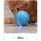 Show in main carousel: EYS Rolling Ball Motion & Chasing with LED light Cat Toy, Blue slide 4 of 6