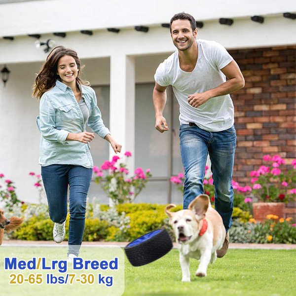EYS Rubber Tires Dog Toy