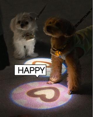 Show full view: EYS Sad Face Heart Adjustable Projector Light Dog Collar Accessory slide 4 of 6