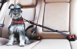 EzyDog Click Adjustable Seat Belt Restraint, Black