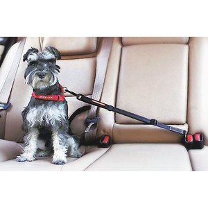 Ezydog Small Dog Seat Belt Harness EZYDOG Click Adjustable Seat
