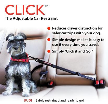 Show full view: EzyDog Click Adjustable Seat Belt Restraint, Black slide 3 of 5