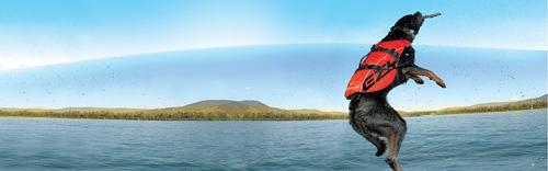 Show full view: EzyDog Doggy Flotation Device Life Jacket, Red, Medium slide 2 of 9