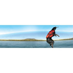 EzyDog Doggy Flotation Device Life Jacket, Red, X-Small 