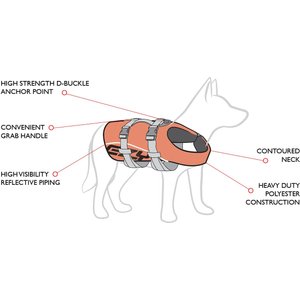 EzyDog Doggy Flotation Device Life Jacket, Red, X-Small 