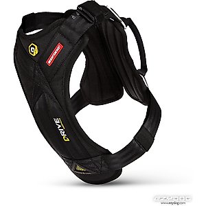 EzyDog Drive Dog Car Harness, Large