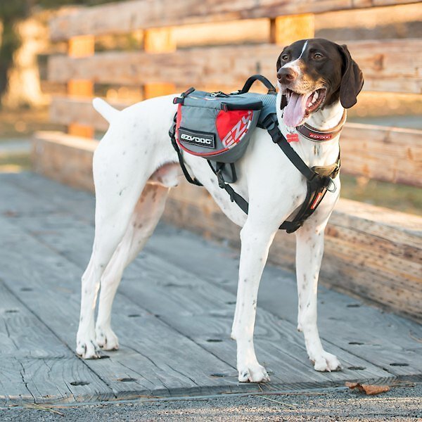 Show full view: EzyDog High Performance Summit Dog Backpack, Large slide 4 of 7