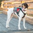 Show in main carousel: EzyDog High Performance Summit Dog Backpack, Large slide 4 of 7