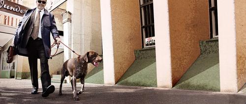 Show full view: EzyDog Luca All-In-One Dog Slip Collar & Leash, Orange, Standard slide 3 of 7