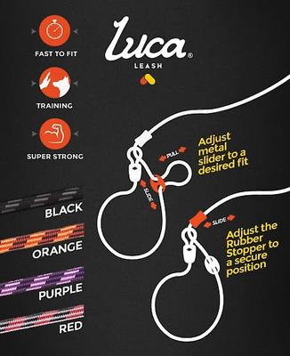 Show full view: EzyDog Luca All-In-One Dog Slip Collar & Leash, Orange, Standard slide 4 of 7