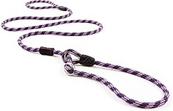EzyDog Luca All-In-One Dog Slip Collar & Leash, Purple, Lite