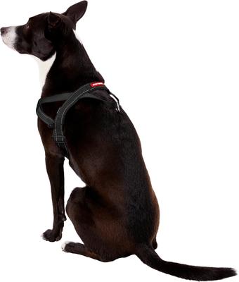 Show full view: EzyDog Quick Fit Dog Harness, Black, Large slide 4 of 13