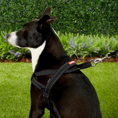 Show full view: EzyDog Quick Fit Dog Harness, Black, Large slide 5 of 13