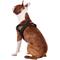 Show in main carousel: EzyDog Quick Fit Dog Harness, Black, Medium slide 5 of 14