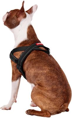 Show full view: EzyDog Quick Fit Dog Harness, Black, Medium slide 5 of 14