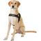 Show in main carousel: EzyDog Quick Fit Dog Harness, Black, X-Large slide 3 of 13