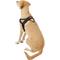 Show in main carousel: EzyDog Quick Fit Dog Harness, Black, X-Large slide 4 of 13