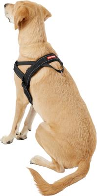 Show full view: EzyDog Quick Fit Dog Harness, Black, X-Large slide 4 of 13