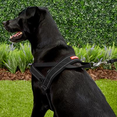 Show full view: EzyDog Quick Fit Dog Harness, Black, X-Large slide 5 of 13