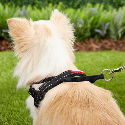 Show full view: EzyDog Quick Fit Dog Harness, Black, X-Small slide 5 of 13