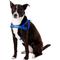 Show in main carousel: EzyDog Quick Fit Dog Harness, Blue, Large slide 3 of 13