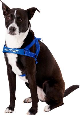 Show full view: EzyDog Quick Fit Dog Harness, Blue, Large slide 3 of 13