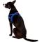 Show in main carousel: EzyDog Quick Fit Dog Harness, Blue, Large slide 4 of 13