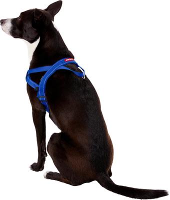 Show full view: EzyDog Quick Fit Dog Harness, Blue, Large slide 4 of 13