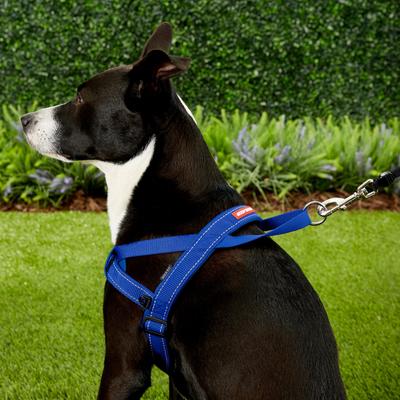 Show full view: EzyDog Quick Fit Dog Harness, Blue, Large slide 5 of 13