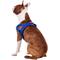 Show in main carousel: EzyDog Quick Fit Dog Harness, Blue, Medium slide 4 of 13