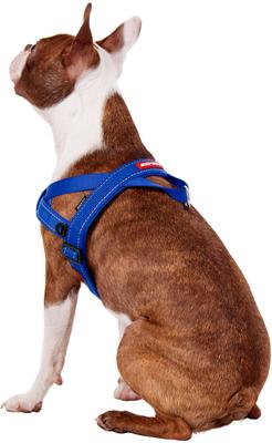 Show full view: EzyDog Quick Fit Dog Harness, Blue, Medium slide 4 of 13