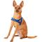 Show in main carousel: EzyDog Quick Fit Dog Harness, Blue, Small slide 4 of 14