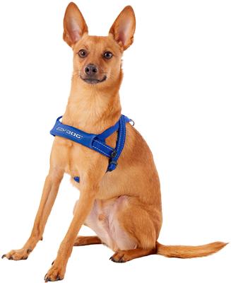Show full view: EzyDog Quick Fit Dog Harness, Blue, Small slide 4 of 14