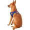 Show in main carousel: EzyDog Quick Fit Dog Harness, Blue, Small slide 5 of 14