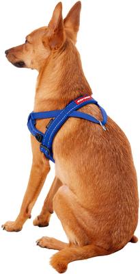 Show full view: EzyDog Quick Fit Dog Harness, Blue, Small slide 5 of 14