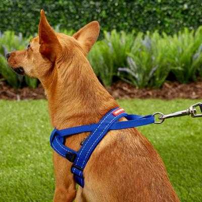 Show full view: EzyDog Quick Fit Dog Harness, Blue, Small slide 6 of 14