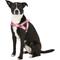 Show in main carousel: EzyDog Quick Fit Dog Harness, Pink Camo, Large slide 3 of 13