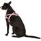 Show in main carousel: EzyDog Quick Fit Dog Harness, Pink Camo, Large slide 4 of 13