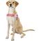 Show in main carousel: EzyDog Quick Fit Dog Harness, Pink Camo, X-Large slide 3 of 13
