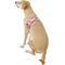 Show in main carousel: EzyDog Quick Fit Dog Harness, Pink Camo, X-Large slide 4 of 13
