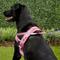 Show in main carousel: EzyDog Quick Fit Dog Harness, Pink Camo, X-Large slide 5 of 13