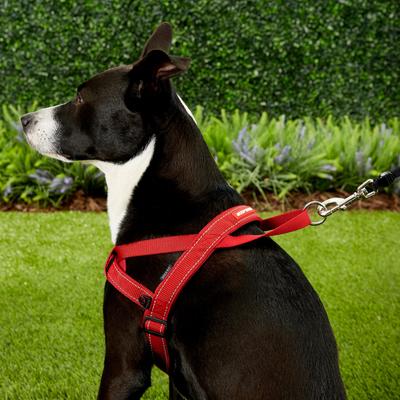 Show full view: EzyDog Quick Fit Dog Harness, Red, Large slide 5 of 13