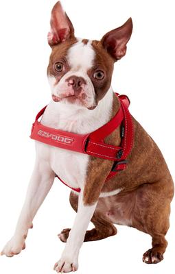 Show full view: EzyDog Quick Fit Dog Harness, Red, Medium slide 4 of 14