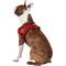 Show in main carousel: EzyDog Quick Fit Dog Harness, Red, Medium slide 5 of 14