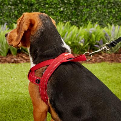 Show full view: EzyDog Quick Fit Dog Harness, Red, Medium slide 6 of 14